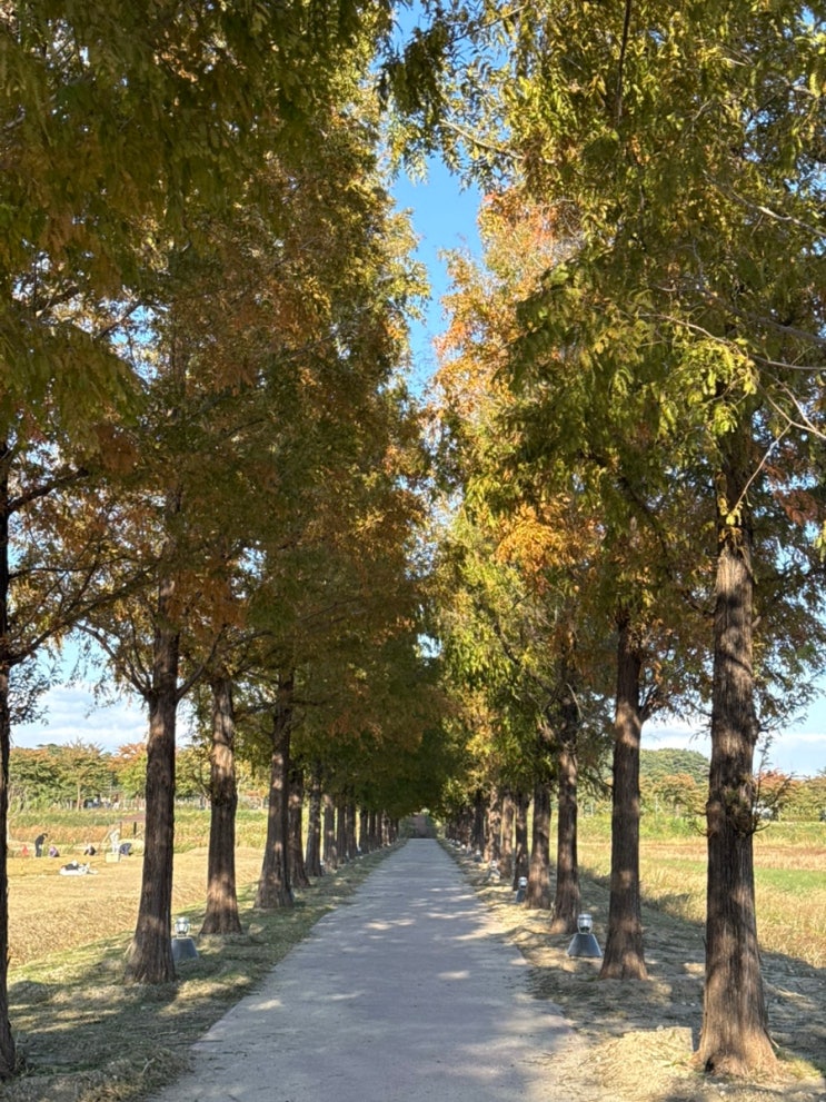 [1박 2일 강원도 여행] 한낮의바다, 과객, 휴휴암, 경포생태저류지