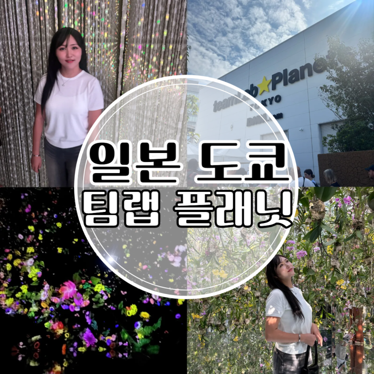 도쿄 팀랩 플래닛 예약, 여행 중 가볼만한 곳