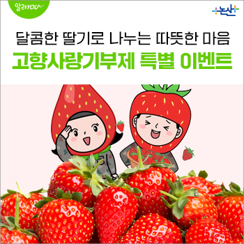 논산시 설향딸기 이벤트 안내 이미지