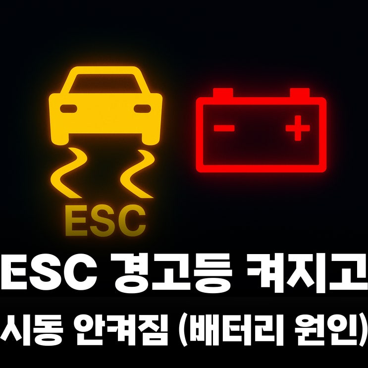ESC 경고등 켜지고 시동 안켜짐 이유? (ft. 배터리 관리 원인) : 네이버 블로그