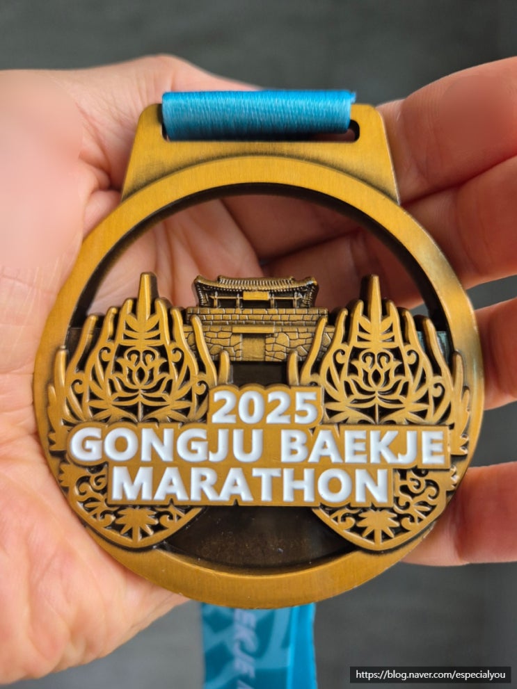 2025 공주 백제마라톤(9.28.) 32.195k 참가 후기