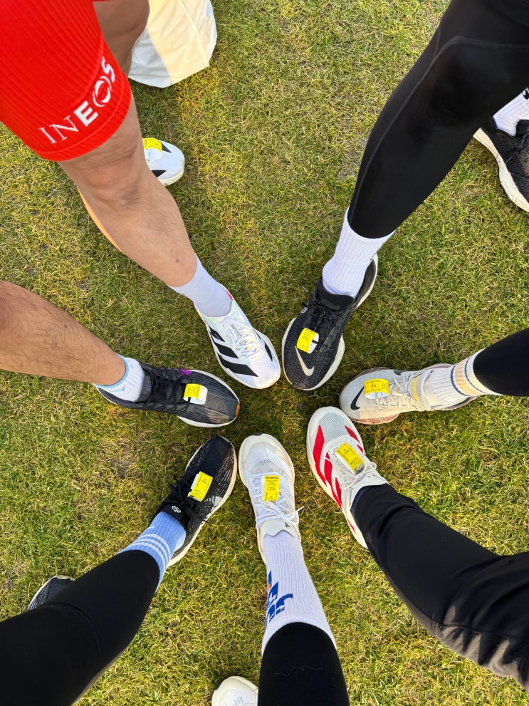 2025 손기정 평화 마라톤 10km 달리기 후기 완주하고 왔어요.