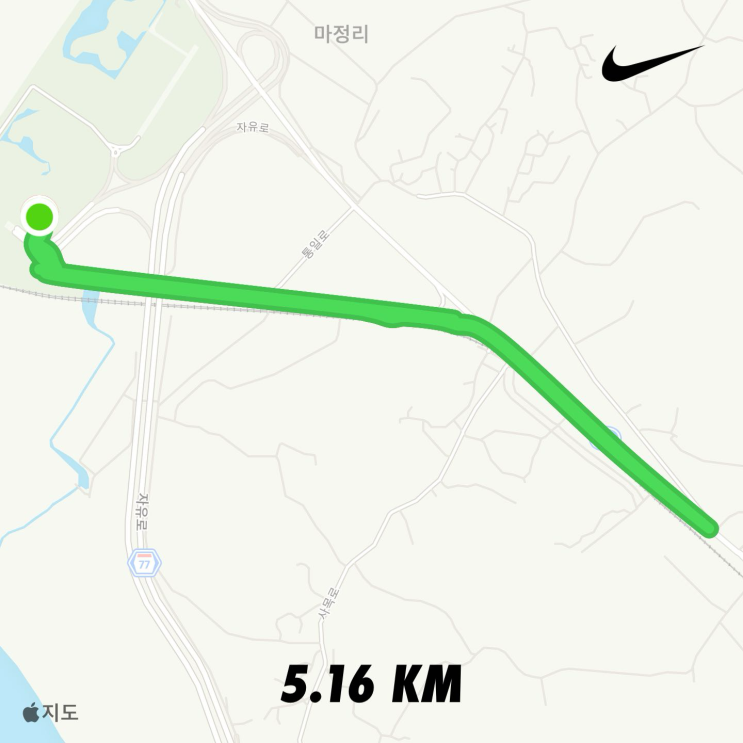 251116. 2025 평화통일마라톤 / 임진각 평화누리