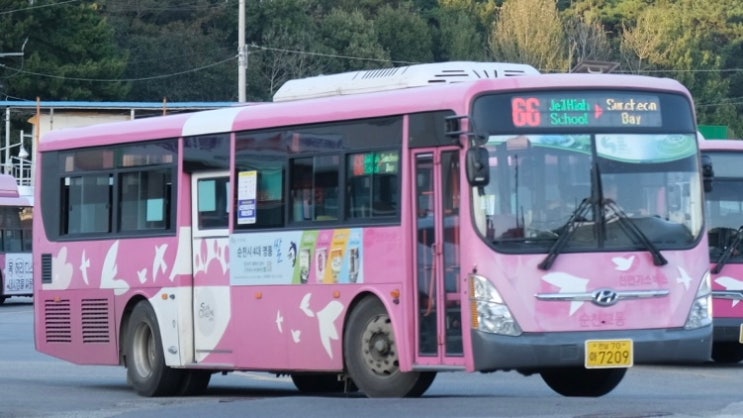 (전남 순천) 66번 7209호 : 네이버 블로그