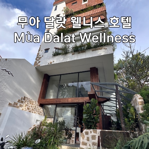 여자 혼자 다녀온 달랏 호텔 추천 (무아 달랏 웰니스, TTC 호텔)