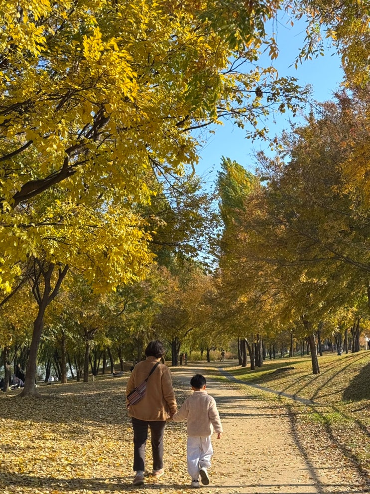 양화한강공원 단풍놀이, 오리배타기 : 네이버 블로그