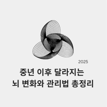 뇌와 갱년기, 절대 따로 보지 마세요~ 중년 이후 달라지는 뇌 변화와 관리법 총정리!