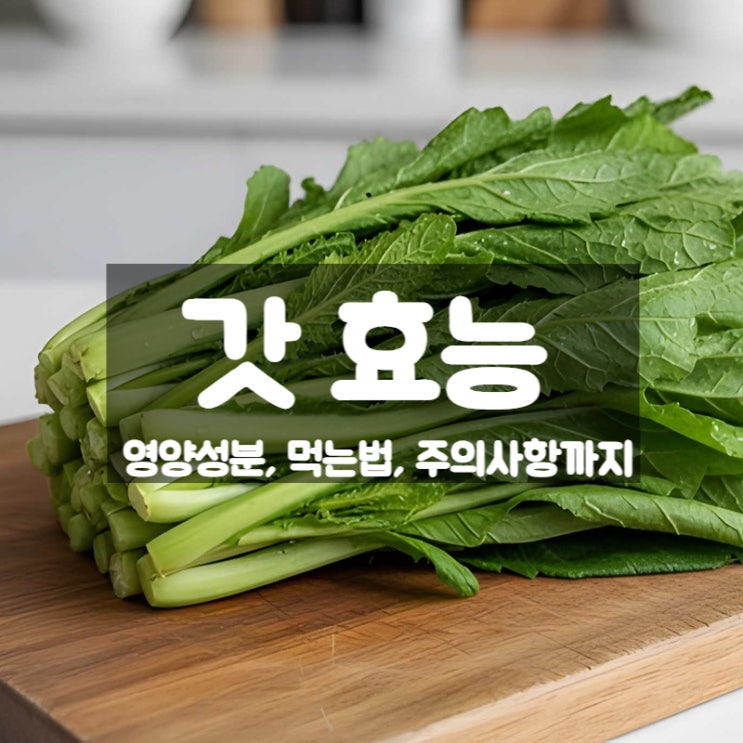 갓 효능 부작용 먹는법 – 겨자향이 주는 강한 항염 채소 : 네이버 블로그