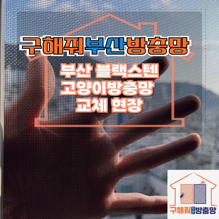 부산방충망업체 찢기지 않는 부산 블랙스텐 고양이 방충망 교체 현장