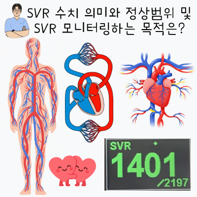 의학용어 SVR 수치 모니터링 목적 및 SVR 높거나 낮은 이유 및 정상 범위는? : 네이버 블로그