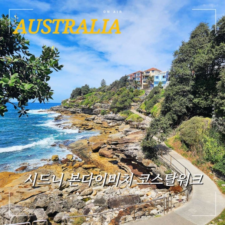 시드니 본다이비치 해변 산책로 코스탈 워크 코스