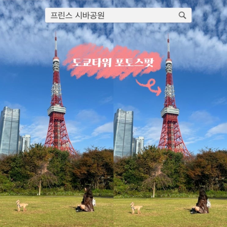 일본 도쿄 가볼 만한 곳 도쿄타워 포토존 프린스 시바공원
