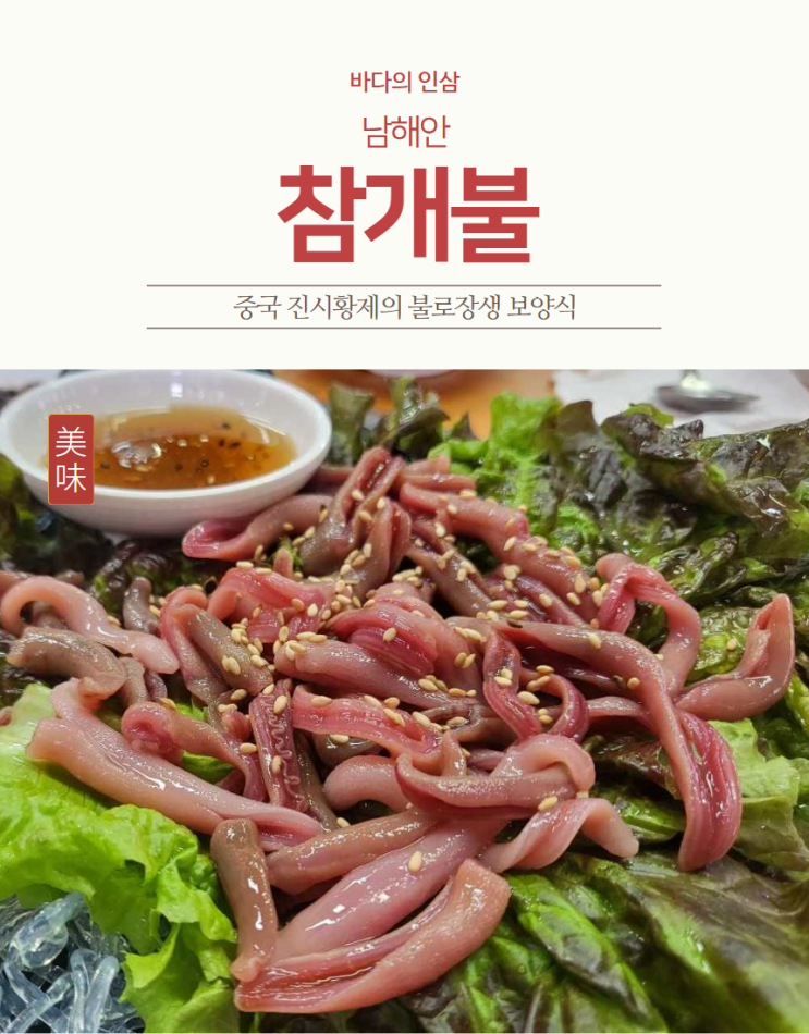 남해안 자연산 생물 손질 개불 참개불 회 10미 : 네이버 블로그