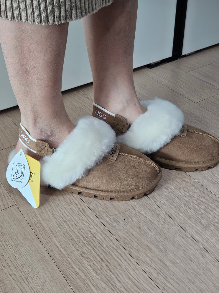[호주UGG] 에버어그 슬리퍼 밴딩 체스트넛 내돈내산 솔직후기 : 네이버 블로그