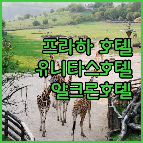 프라하 호텔 완벽 분석 Unitas Hotel부터 Almanac X Alcron Prague까지!