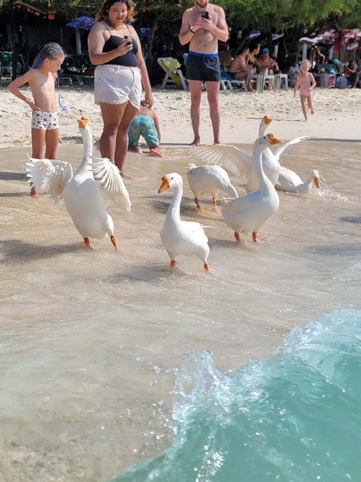 KK데이 - 파타야 산호섬 투어후기 (내돈내산 + 꿀팁, 주의사항!!) : 네이버 블로그