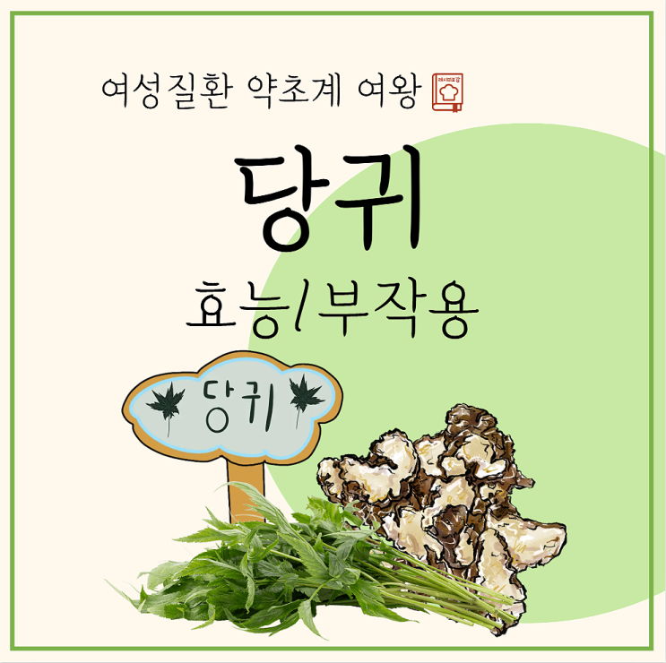 당귀의 효능 당귀차 뿌리 잎 부위별 차이 : 네이버 블로그