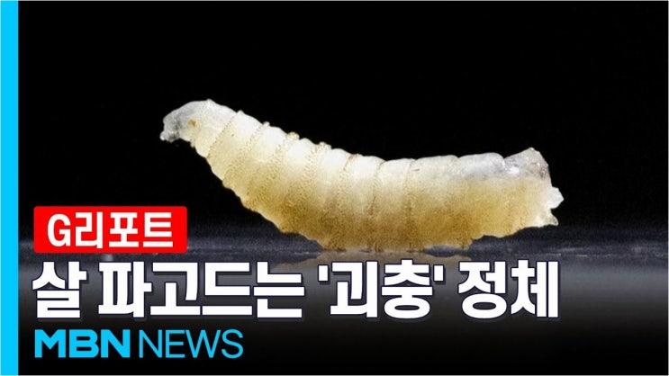 '구더기 아내' 방치 사건, 유족들 '살 썩는데 몰랐다'는 남편 주장에 사진 공개하며 반박 : 네이버 블로그