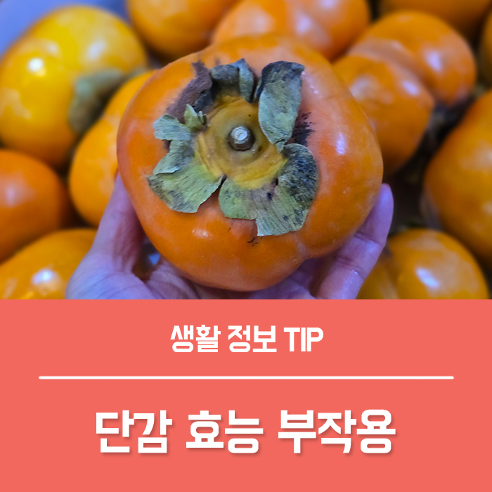 단감효능 부작용, 감효능 TOP4 감 한개 칼로리 총정리! : 네이버 블로그