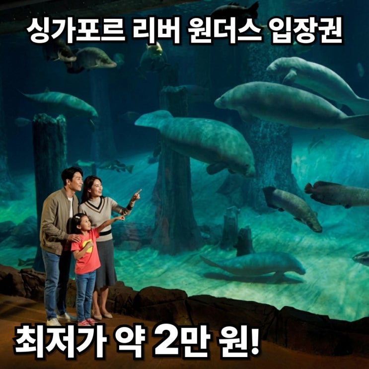 싱가포르 리버 원더스 입장권 할인 정보, 직접 비교해 보고 알게 된 ....