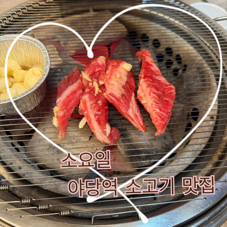 파주 야당 소고기 맛집 소요일 재방문 맛집 : 네이버 블로그
