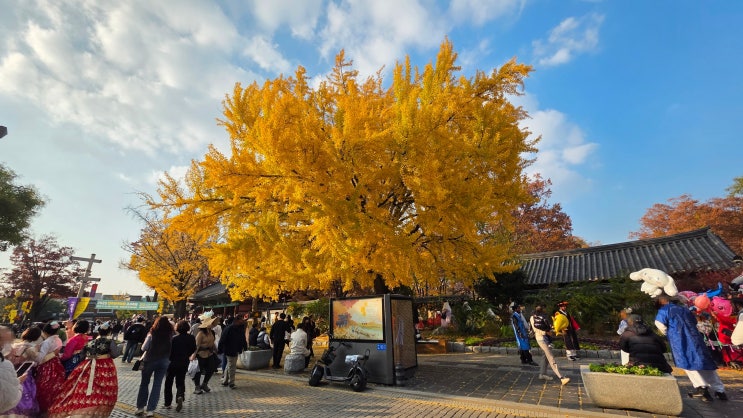 전주 한옥마을 먹거리와 단풍 전주한옥마을 총정리 : 네이버 블로그