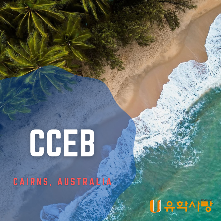 호주 어학연수_케언즈 CCEB 어학원 최대 프로모션 & 리얼 학생 후기_부산유학원 : 네이버 블로그