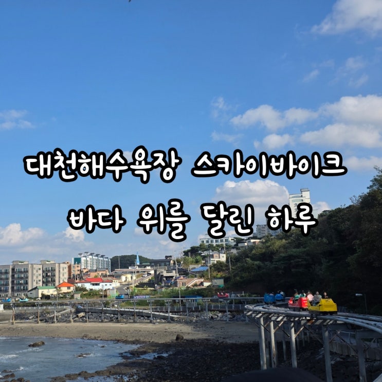 대천해수욕장 스카이바이크 후기 바다 위를 달리는 가족여행 코스 추천! : 네이버 블로그