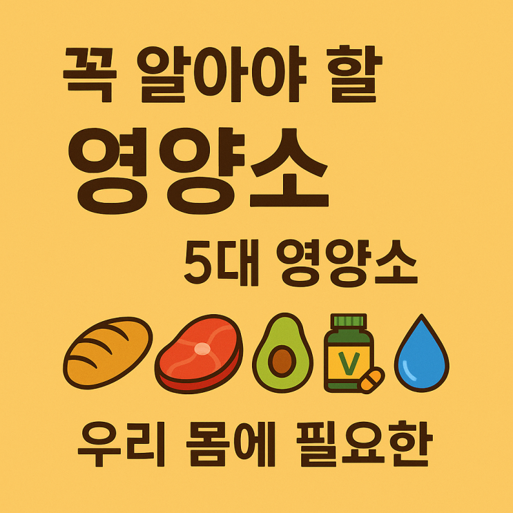 우리 몸에 필요한 5대 영양소 : 네이버 블로그