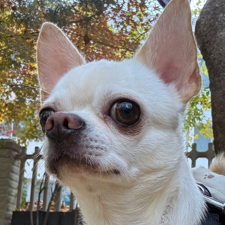 2025년 11월 5주차 리뷰 (2025.11.23-11.29)