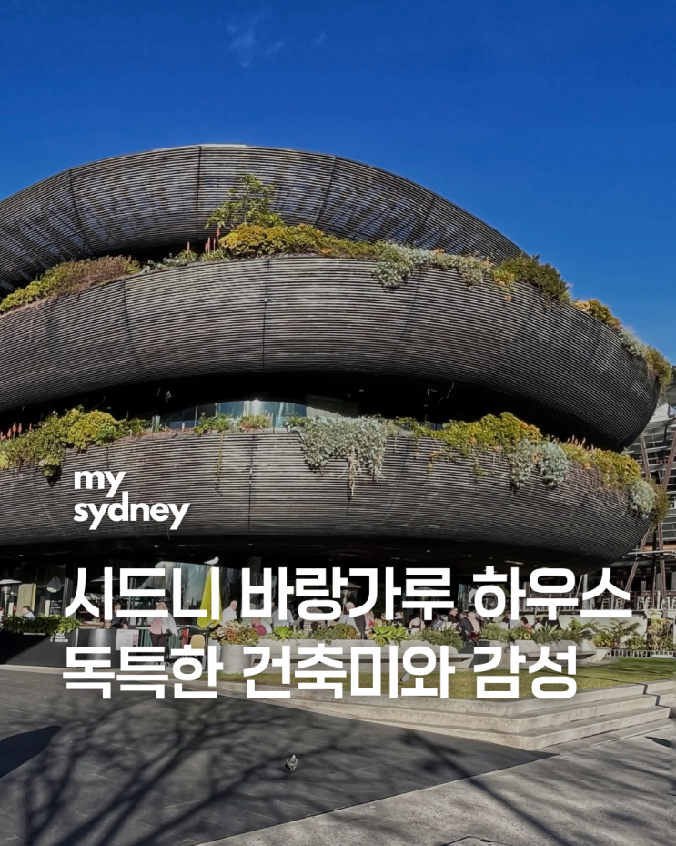 시드니 바랑가루 하우스 독특한 건축미와 감성을 가진 해안 명소