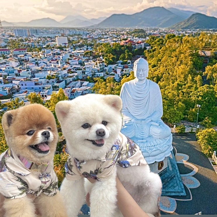 냐짱(Nha Trang)여행 기록_11. 나트랑 대성당, 롱선사 애견동반 유적지 ....
