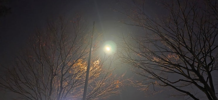 가을 밤 : 네이버 블로그