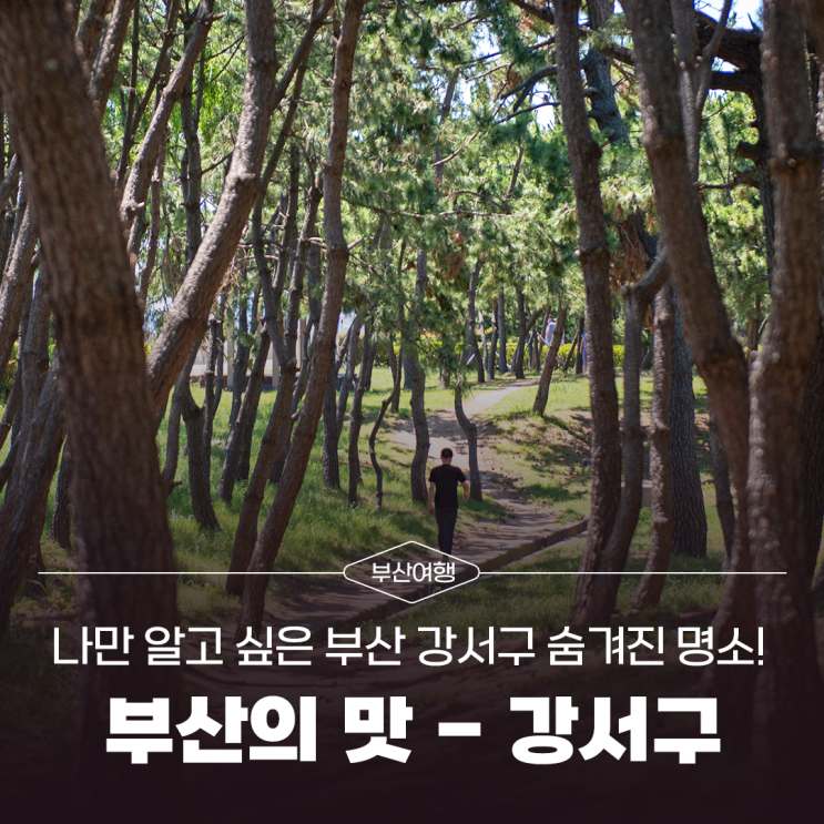 부산 강서구 공원&산책로 숨겨진 명소 추천 [부산의 맛] - 강서구