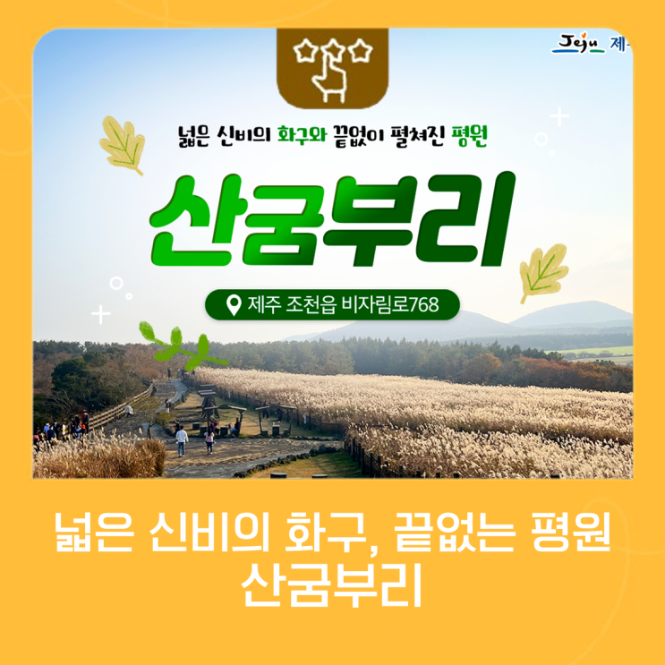 제주에서 만나는 국내 유일 마르형 화구, 산굼부리 : 네이버 블로그