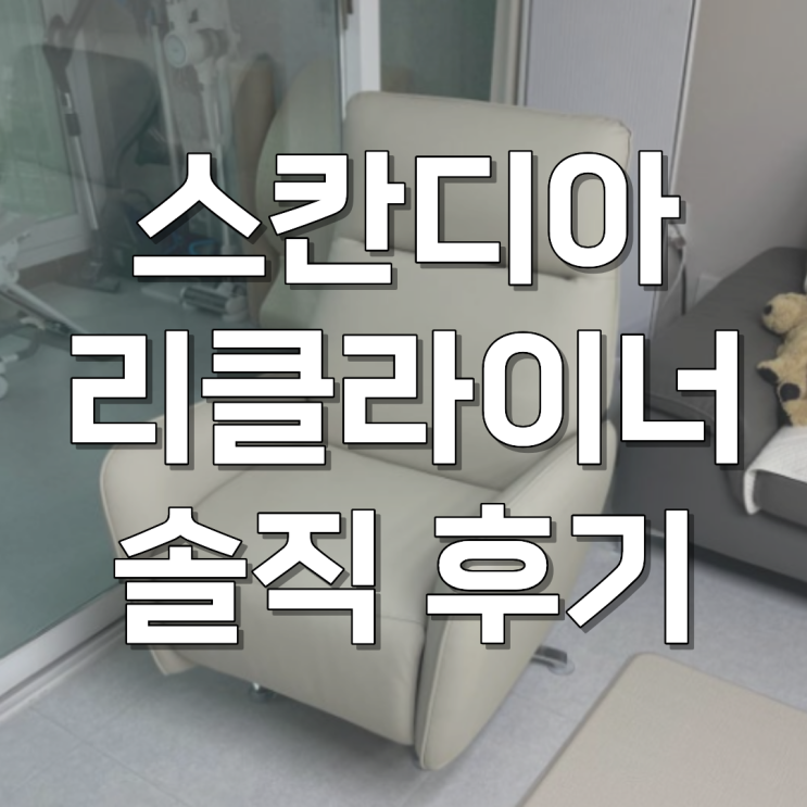 스칸디아 베를린 리클라이너 1인 가죽 소파 솔직 후기 : 네이버 블로그
