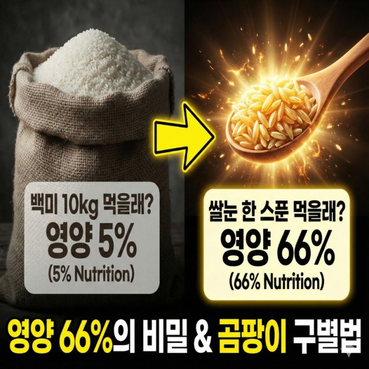 쌀의 영양 66%가 여기에? '쌀눈' 효능, 당뇨와 다이어트에 좋은 이유 (ft. 곰팡이 구별법, 먹는법) : 네이버 블로그