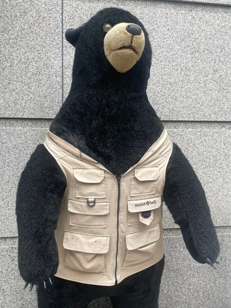 [KOBE_11월 1주] 일본에서 문화 생활 (반고흐 전시)ㅣ 누노비키 폭포 & ....