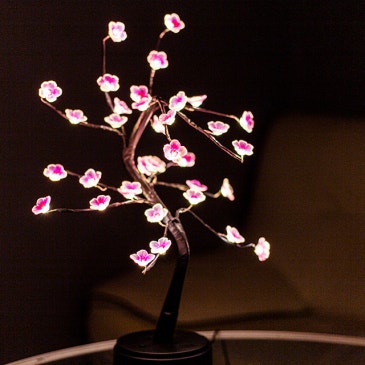 누웨마루거리 도보 가능! 프라이빗 힐링공간 ‘제주시내마사지 마카오아로마’”