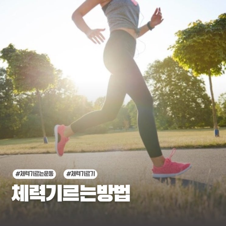 체력기르는 방법 소개, 체력기르는운동으로 시작하는 기초체력 기르기 루틴