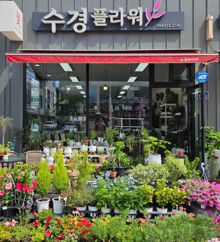 구미 매장유리창청소 진평동 수경플라워(feat.꽃보다 고우신 사장님^^) : 네이버 블로그