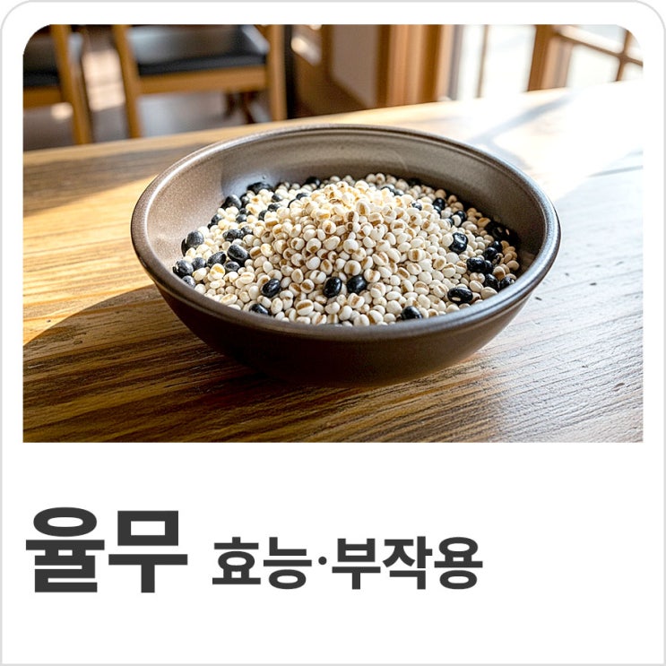 율무 효능과 부작용 먹는법 보관 칼로리는 : 네이버 블로그