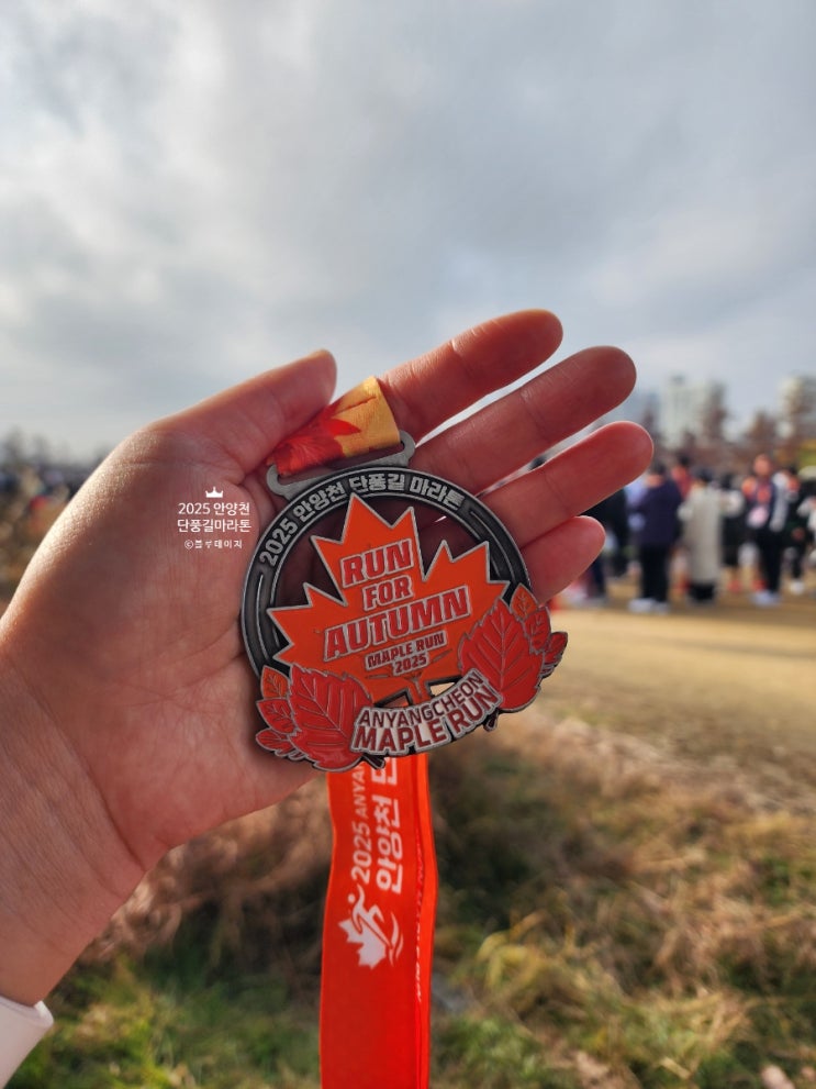 [마라톤도전] 2025 안양천 단풍길 마라톤 후기