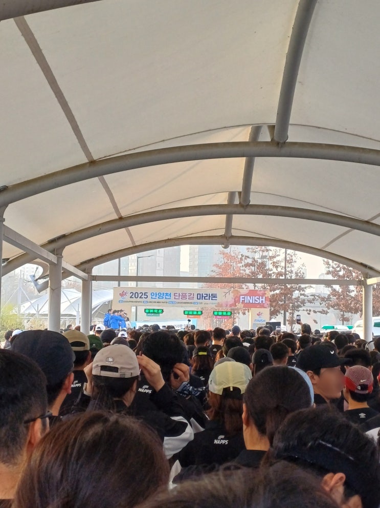 2025 안양천 단풍길 마라톤 후기