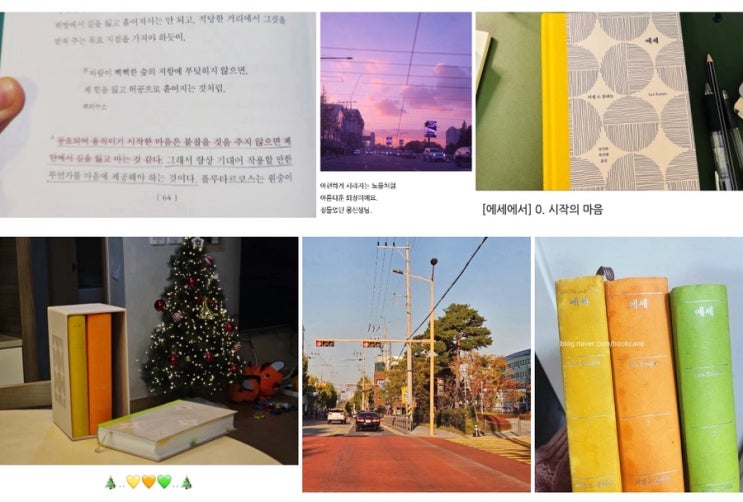 [에세에서_끝]몽테뉴 완독🎉 현명한 선택의 자연스러운 종착 : 네이버 블로그