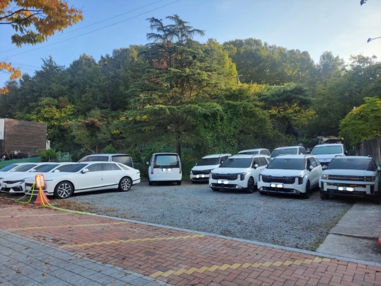 대구 카니발 렌트카 승합차 전문 렌트 : 네이버 블로그