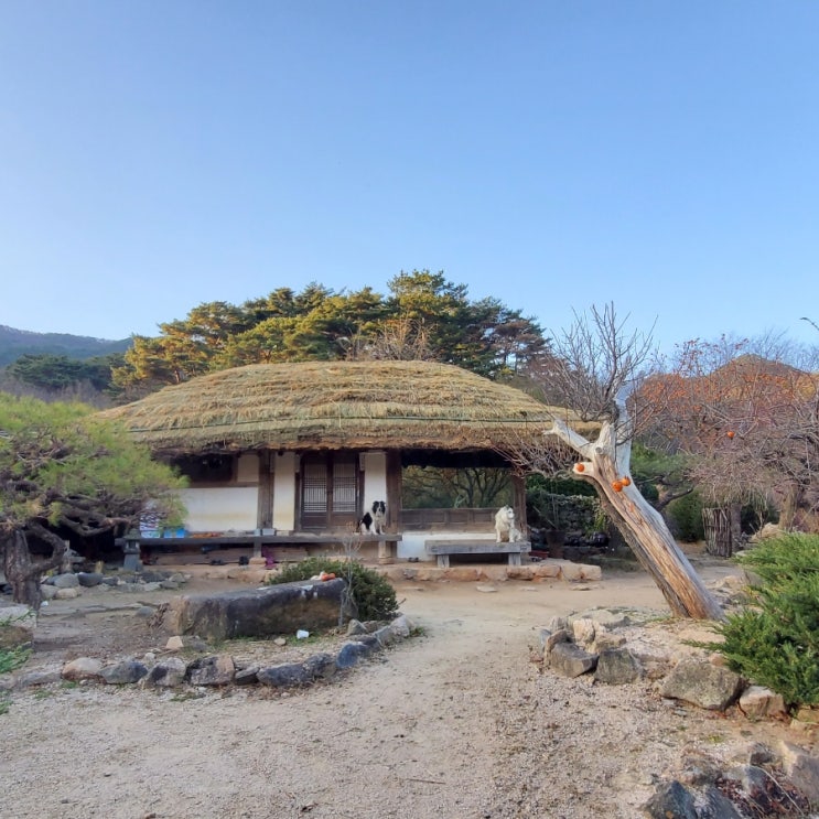 초가지붕잇기 (28번째) : 네이버 블로그