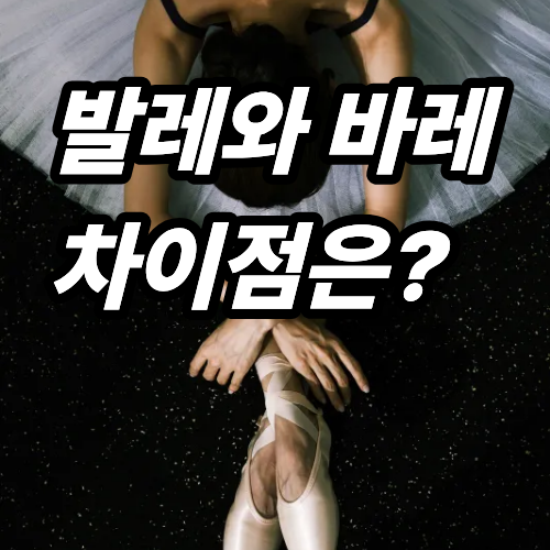 수지발레 | 발레와 바레? 뭐가 다른가? | 바레 전문센터 리듬코어 바레&필라테스 원종점 : 네이버 블로그
