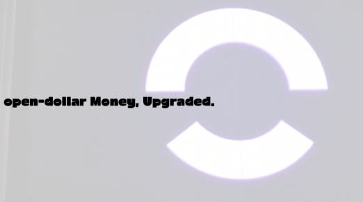 [RWA 플랫폼 분석] 오픈에덴(OPENEDEN) 한국 밋업, 규제 준수형 미국 국채 기반 스테이블코인 USDO(Open ...