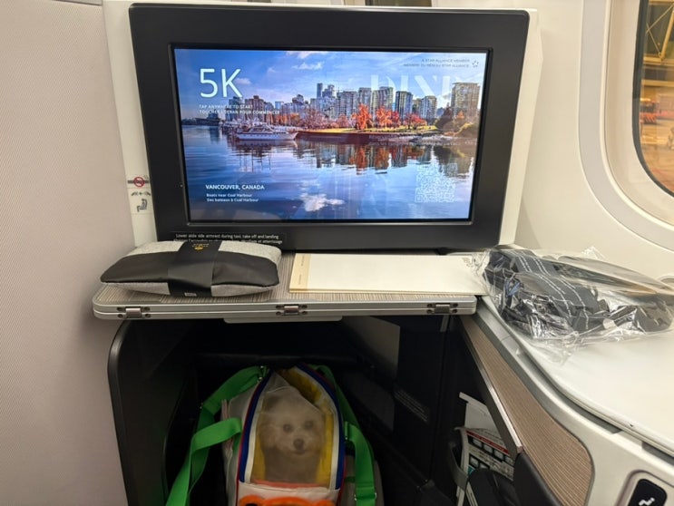 에어캐나다 비즈니스 강아지 + 기내식 AC64 : 네이버 블로그